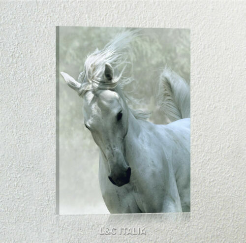 Tableau Sur Toile Franz Marc - Reproduction Animalière - Quadro Stampa Tela - NEUF