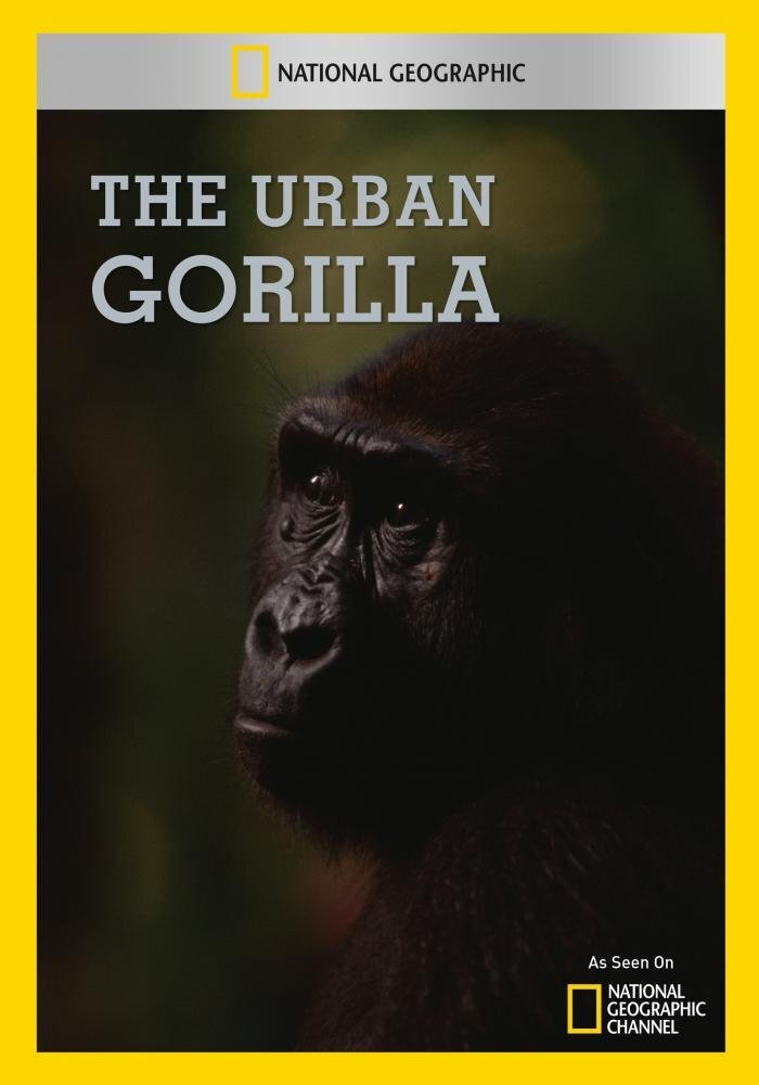 The Urban Gorilla (DVD)