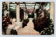 Vintage 1908 Pergola Hotel Maryland Pasadena CA Lithograph Postcard
