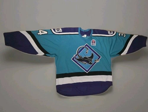 Vintage Oakland Skates RHI Roller Hockey Game Worn Jersey CCM Blue #34 Whitten