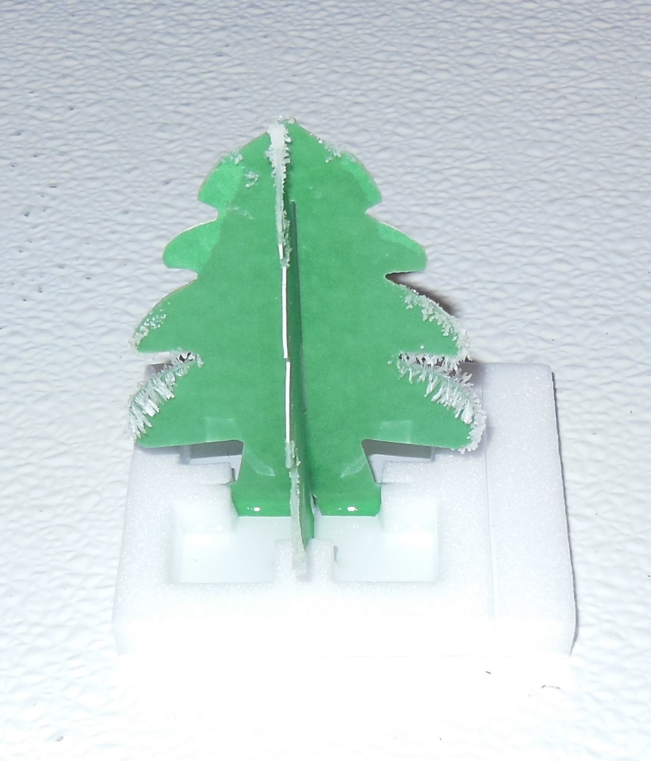 Picture 5 of 11