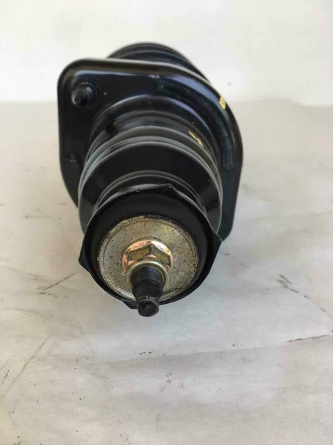 2004 honda element rear struts