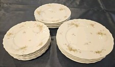 Lot of 14 Theodore Haviland Schleiger 836 Limoges France Plates NO CHIPS EUC