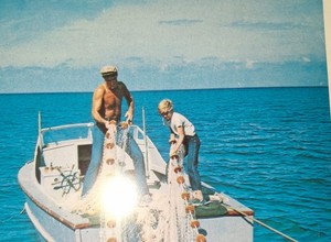 FLiPPER Luke Halpin 8 X 10 Original COLOR  PHOTO