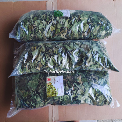 Organic Dried Insulin Plant Leaves Costus Igneus Fiery Costus Leaf Herbal Tea