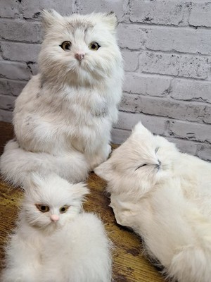 Vintage Real Rabbit Fur Cat Kitten Figures Figurines Lot Of 3 So Soft Kitty 
