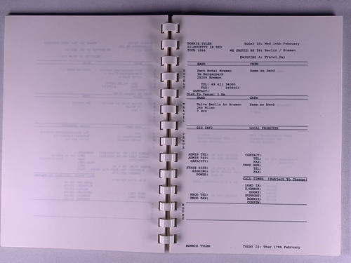 Bonnie Tyler Itinerary Original Silhouhette In Red Tour Germany Norway 1994 - Picture 7 of 18