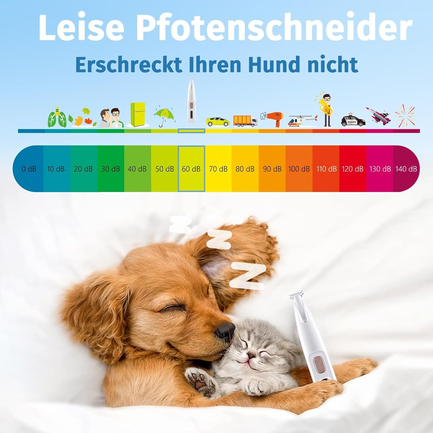 Bild 3 von 13