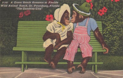 Postcard  Green Bench Romance, Florida Wild Animal Ranch, St. Petersburg