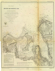 Oyster Chart