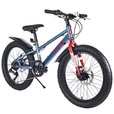 20" Youth Fat Tire Bike, 7-Speed Mountain Bicycle  for Ages 5+,Grey