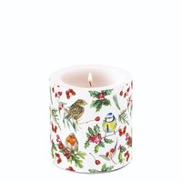 Kerze, Lampionkerze Birds In Winter 9Cm Ambiente | Rotkehlchen, Meise, Spatz