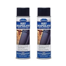 Eastwood Rust Encapsulator Aerosol Quick Drying With Uv Resistance And Heat...