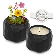 The Growing Candle Scented, 13oz Ceramic Pot, Emma Sandalwood & Vanilla