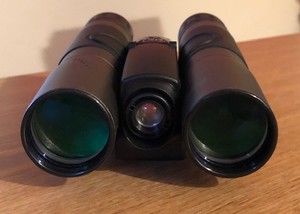 binocular digital camera