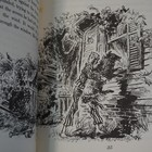 Picture 6 of 11