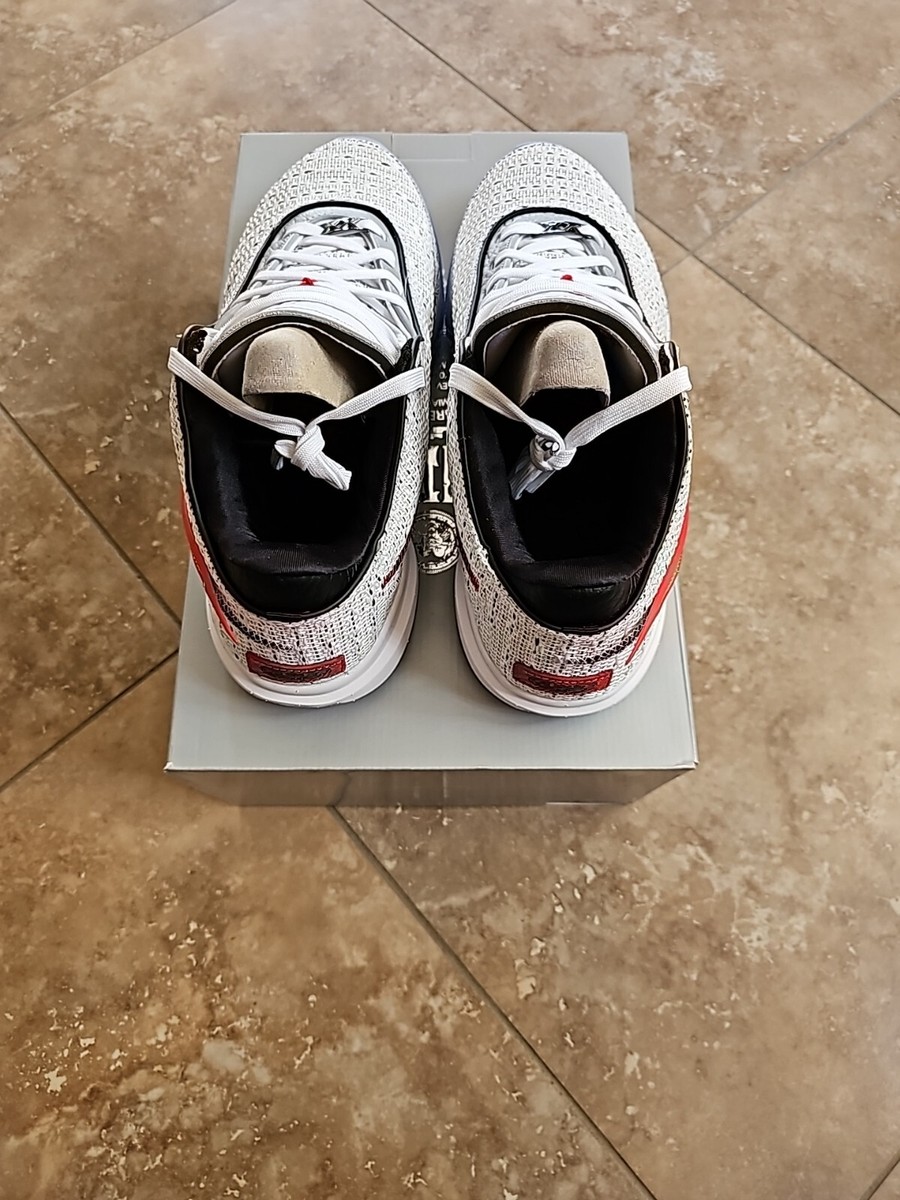 Size 13 - Nike LeBron 20 The Debut 2022 for sale online | eBay