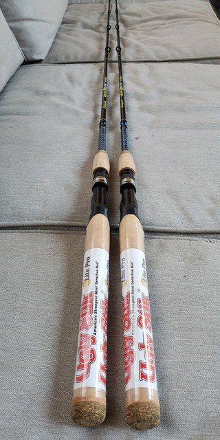 shakespeare ugly stik lite pro spinning fishing rod