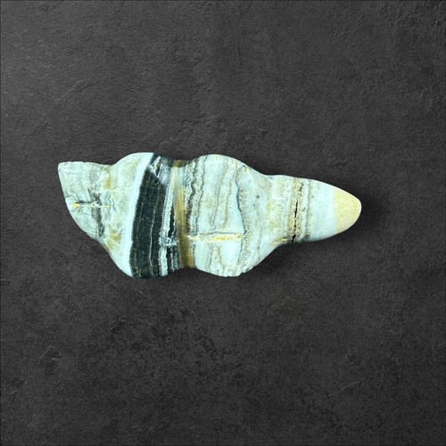 Zuni Fetish Carving Onyx Badger by Daphne Quam & Leland Boone - Picture 8 of 9