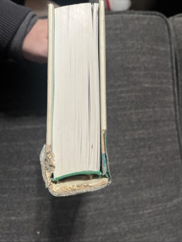 Internal Medicine by Shi, Anshen, Essentials Of Chinese Medicine Book - Picture 12 of 24