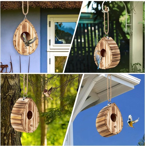 Kolibrihaus, Vogelhaus aus Holz für draußen, hängende kleine Vogelhäuser, wild - Bild 6 von 11