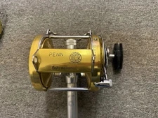 Penn International 80W