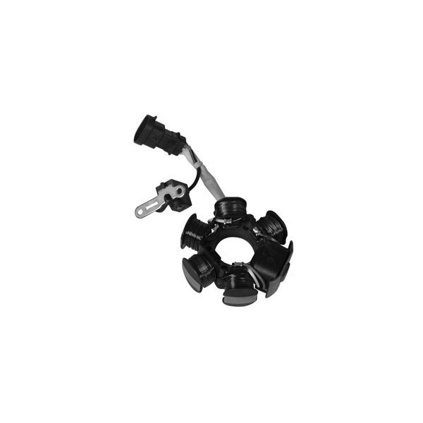 Stator Scooter Piaggio 50 2T 2000 /> Cataliz-image