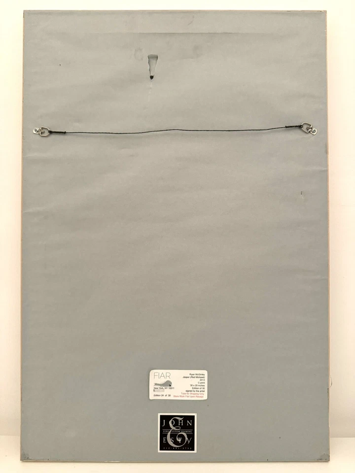 Ryan McGinley FIRMADO Jasper Red Mohawke 2013 impresión en C 30x20 edición enmarcada de 30 Foto 2 de 2