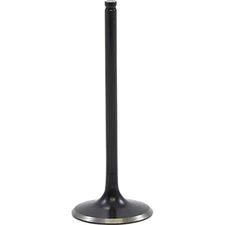 Kibblewhite Black Diamond Intake Valve | 30-33612