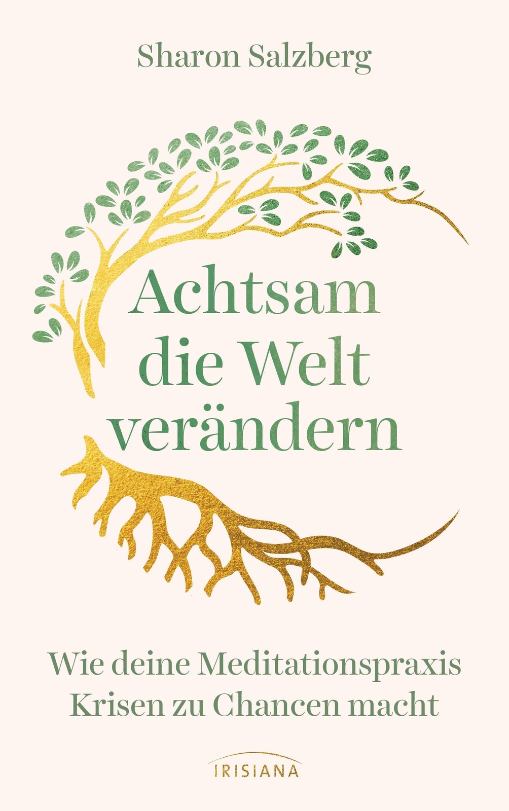 Thumbnail - Achtsam Die Welt Verändern | Wie Deine Meditationspraxis Krisen Zu