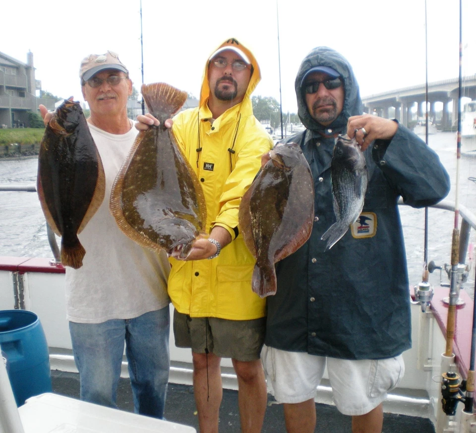 ULTRAVIOLETA FLUKE PLATIJA B2 CALAMARES APAREJOS DE PESCA SEÑUELOS GAMAKATSU (SEÑUELOS GRATIS) Foto 3 de 4