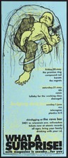 Promise Ring Dianogah Rex Telecognac Poster 1997 The Rave Bar Milwaukee S/N