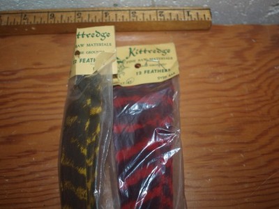 RARE KittReddge Feathers Full Length Right Wing. Barred Yellow - Barred Red