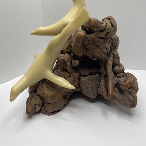 John Perry 2 White Seals on Burl Wood Base Figurine 14" High V Large Sculpture - Picture 6 of 11