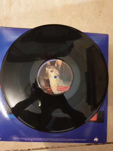 CBS RECORD: Species Deceases (Midnight Oil) - Picture 6 of 9