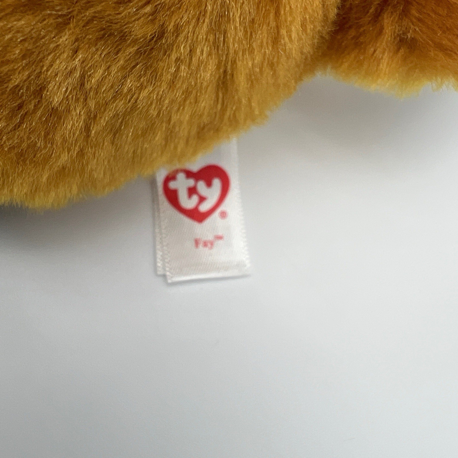 Bild 10 von 10