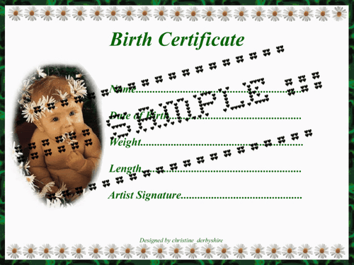 PRETTY DAISY BIRTH CERTIFICATE/CERTIFICATES 4 REBORN FAKE BABY approx 7"x 5" - Picture 2 of 4