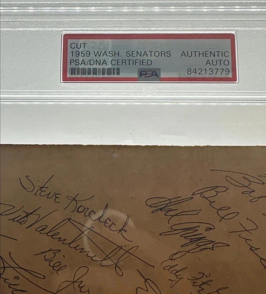 1959 Washington Senators team signed cut slab auto PSA/DNA 8x10 - Image 2 of 3