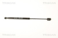 Gasfeder Heckscheibe Triscan 8710 25247 FüR Renault Laguna 3 KT0 Dci KT0A KT0R