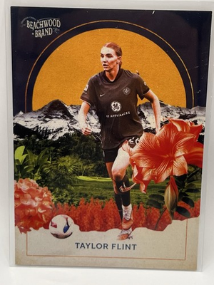 #ad 2025 Parkside Beachwood Brand Bountiful Taylor Flint #24 Racing Louisville $4.85