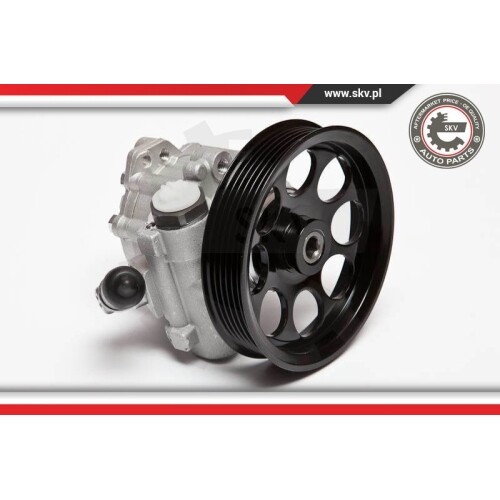 ESEN SKV Pompe De Direction Assistée 10SKV119 - Compatible Citroën Berlingo Peugeot 306 Partner