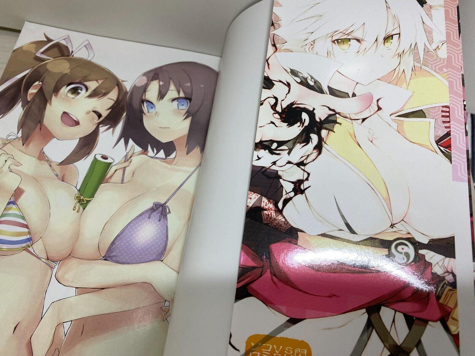 Senran Kagura: Official Design Works: 9781927925478 - AbeBooks