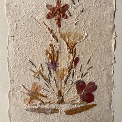 Dried Wildflowers Framed Wild Flowers Handmade Paper Madagascar 1991 SIGNED Vntg