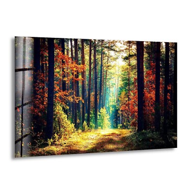 Nature Green Forest Glass Wall Art