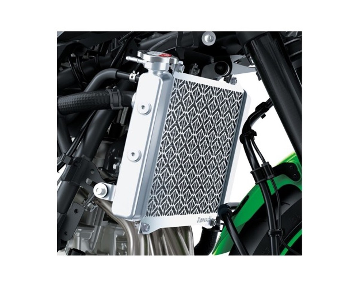 Kawasaki Radiator Screen Ninja ZX-4RR 99994-1887 | eBay