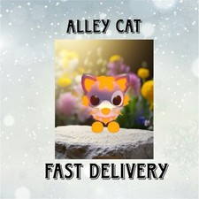 Adopt Your Pet From Me Today  NR Alley Cat  Fast Delivery  Cheap 