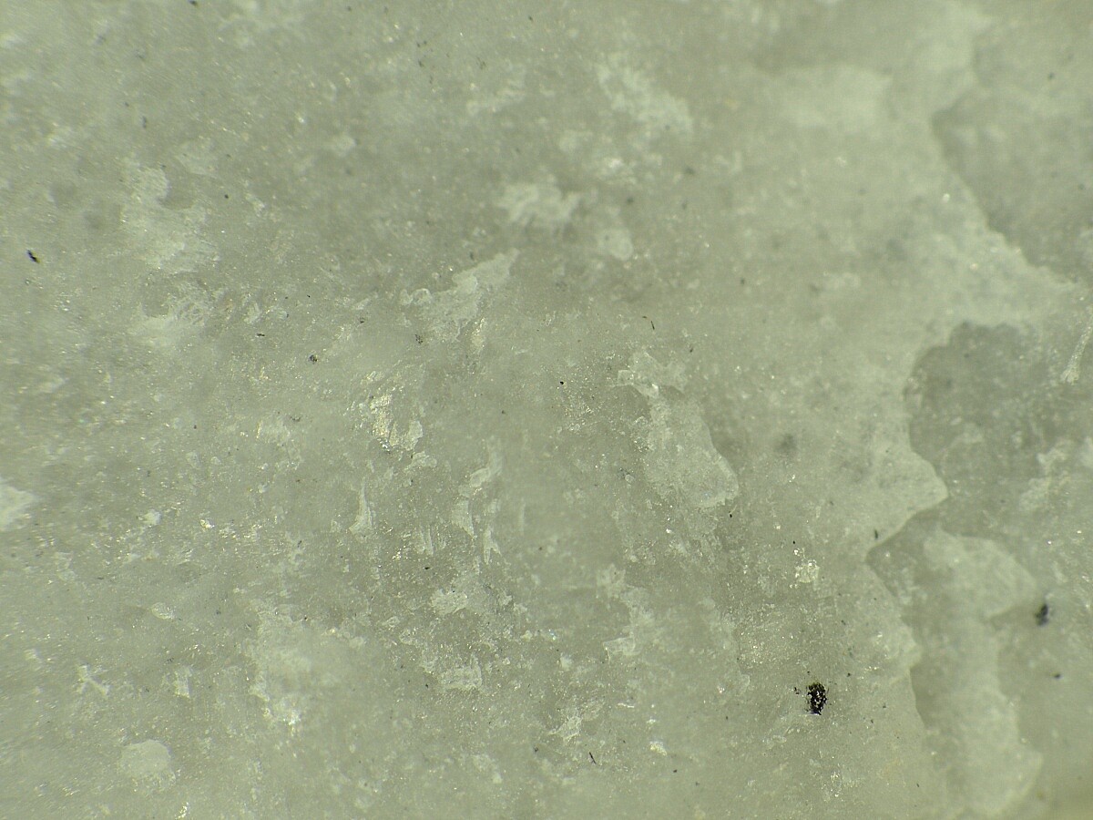 SHIMAZAKIITE from Fuka Mine, JAPAN * ONE LOCALITY MINERAL * 1,4 cm