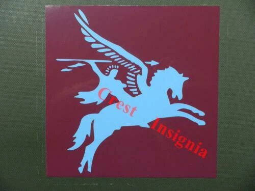 Issued Special Forces British Militaria (1991-Now)