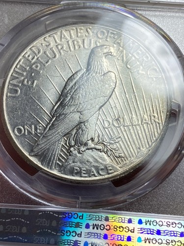 1927 Peace Dollar AU55 PCGS Gold Shield Attractive Circ Coin - Picture 6 of 8
