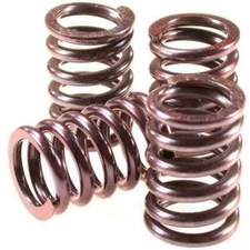 Barnett CLUTCH SPRINGS Ducati  501-48-03125 set of 3 clutch springs